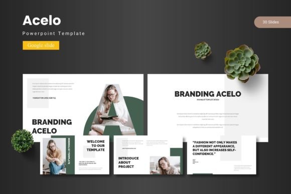 Master Your Next Pitch with Acelo