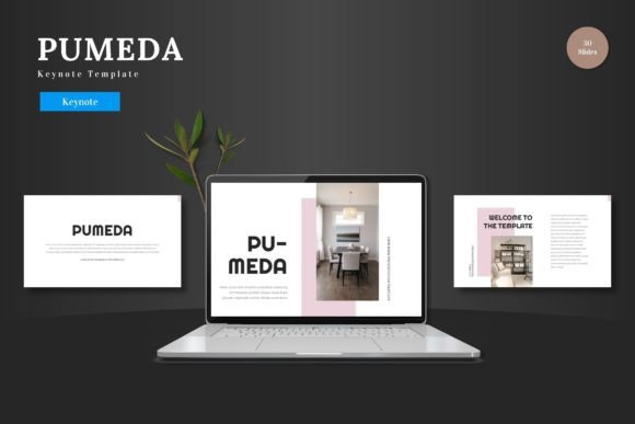 Pumeda: A Dynamic Keynote Template for Modern Presentations