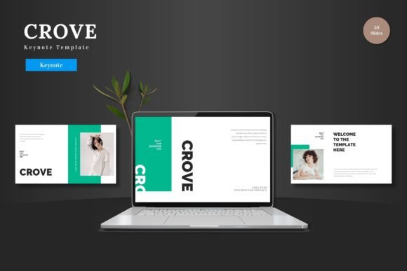 Unlock Effortless Presentations with Crove